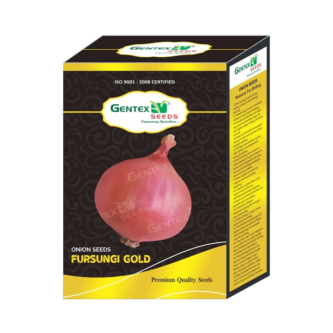 Gentex Fursungi Gold Onion Seeds, Kande Ke Beej For Late Summer to Winter Season, Pink Light Red