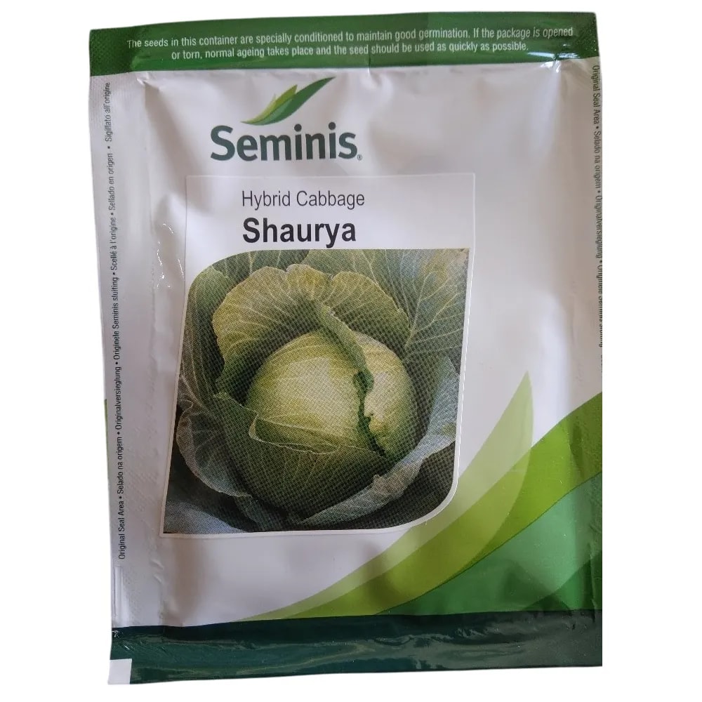 Seminis Shaurya F1 Hybrid Cabbage Seeds, Green Round Heads, Suitable For Various Sowing Seasons