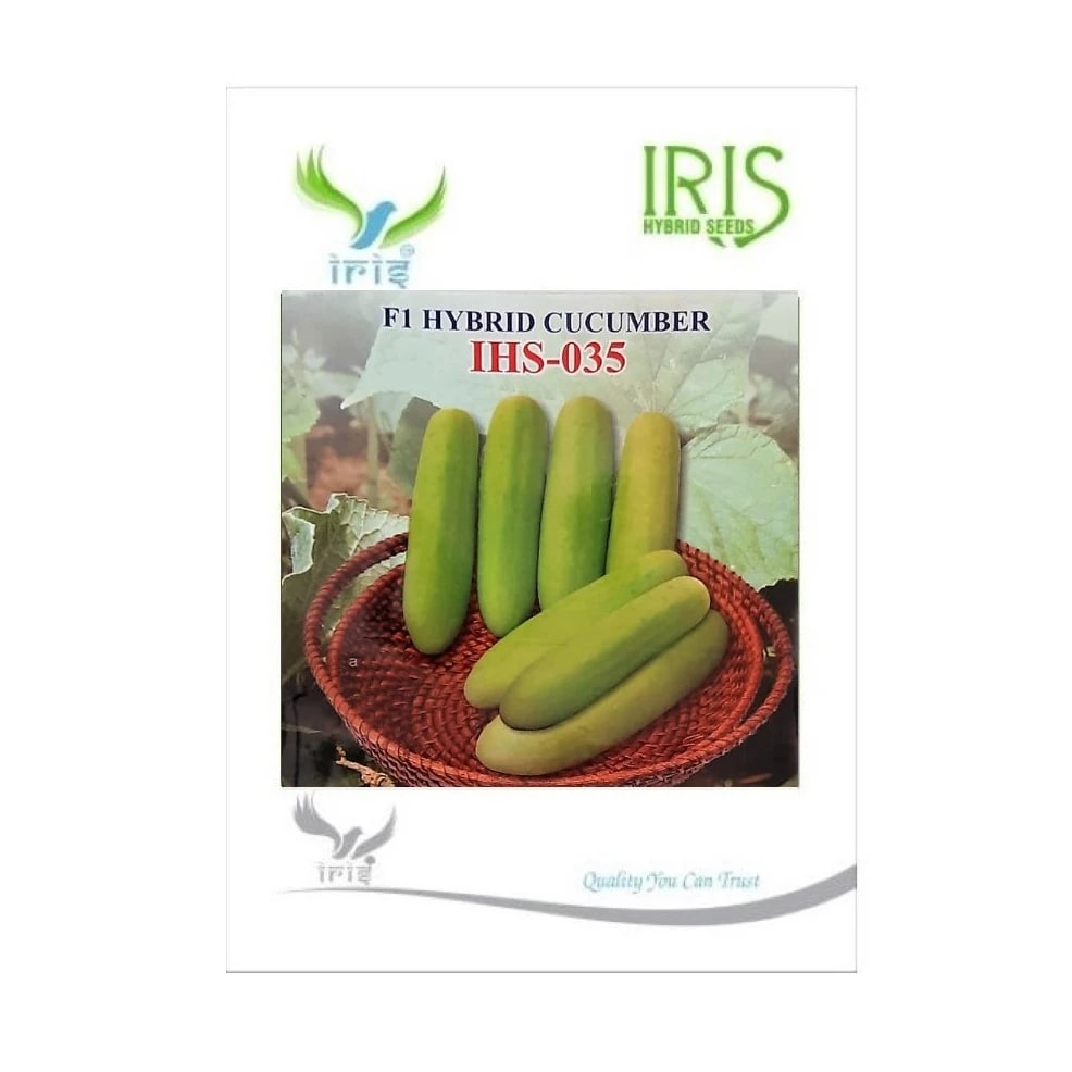 Iris IHS-035 F1 Hybrid Cucumber Seeds, High Yield, Fast Growing, Heat Tolerant Variety