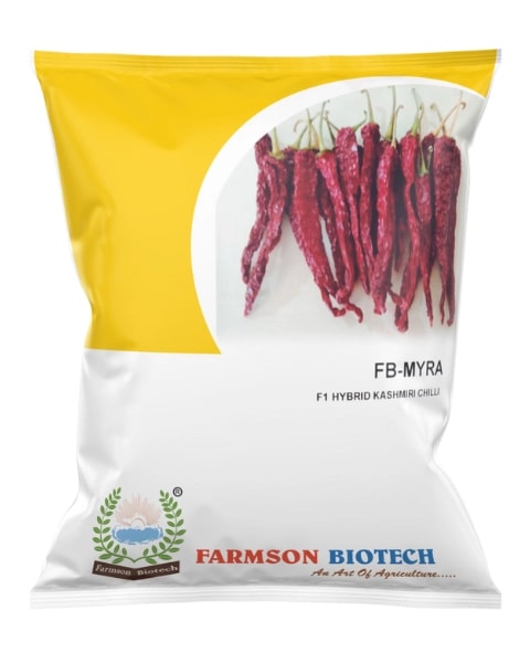 Farmson FB-Myra Kashmiri Pepper Seeds - (Mirchi Seeds) High Yield, Mild Pungency & Robust Plant Habit