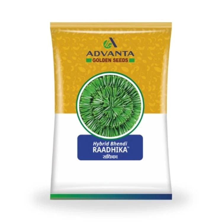 Advanta Raadhika Bhindi Seeds - Okra Seeds