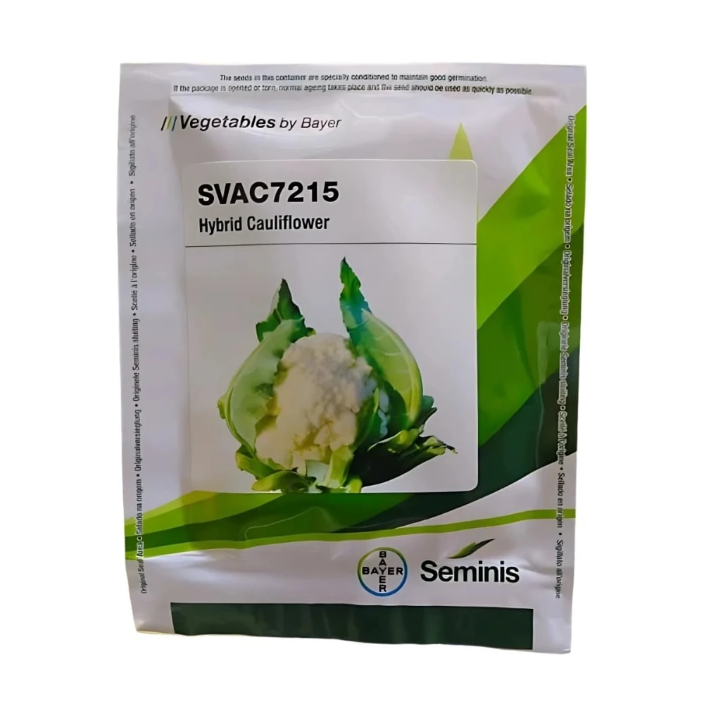 Seminis SVAC7215 F1 Hybrid Cauliflower Seeds, Compact Dome Curds, High Yield