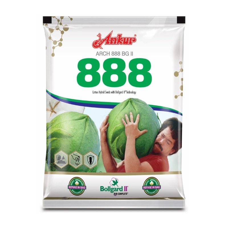 Ankur Arch 888 BG II Hybrid Cotton Seeds, High Yielding Variety And Easy to Picking (475 Gm)