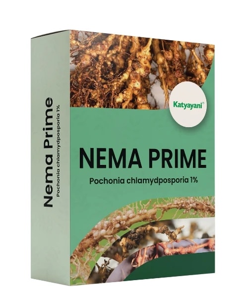 Katyayani Nema Prime Pochonia Chlamydosporia 1% Bio Nematicide Powder, Advanced Solution For Effective Nematode Management