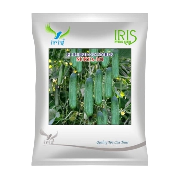 Iris Surya-101 F1 Hybrid Cucumber Seeds, High Yield, Gemini Virus Tolerant, Vigorous Growth