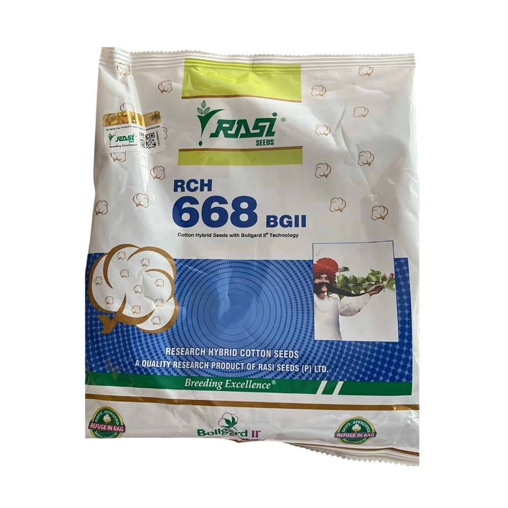 Rasi RCH-668 BG II Hybrid Cotton Seeds, Early to Medium Maturity Variety With Chain Bearing & Pest Tolerance (475 Gm)