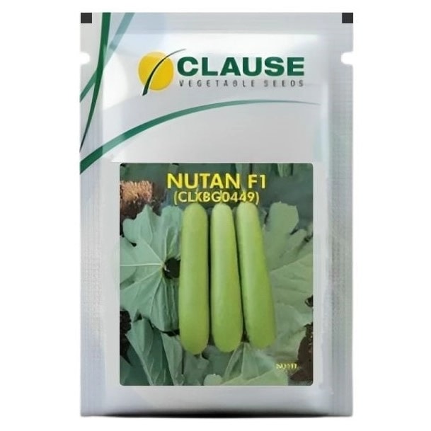 HM Clause NUTAN F1 Hybrid Bottle Gourd Seeds