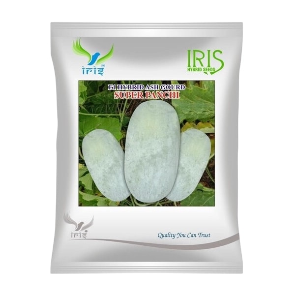 Iris Super Panchi F1 Hybrid Ash Gourd Seeds, Long Green Fruits With Early Maturity