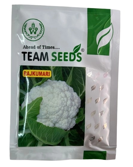 Team Seed F1 Hybrid Rajkumari Cauliflower Seeds, Compact, Cream White, and Dome Curd