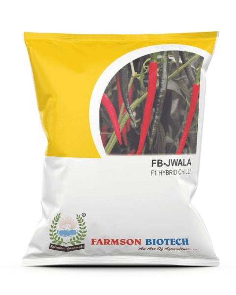 Farmson FB Jwala F1 Hybrid Chili Seeds, High Yield, Disease Tolerant (Dual Purpose)
