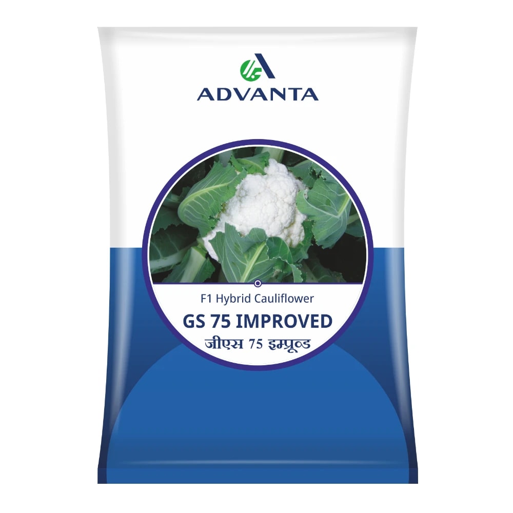 Advanta GS 75 Cauliflower Seeds - (Gobhi Seeds) High Yielding, Early Maturing