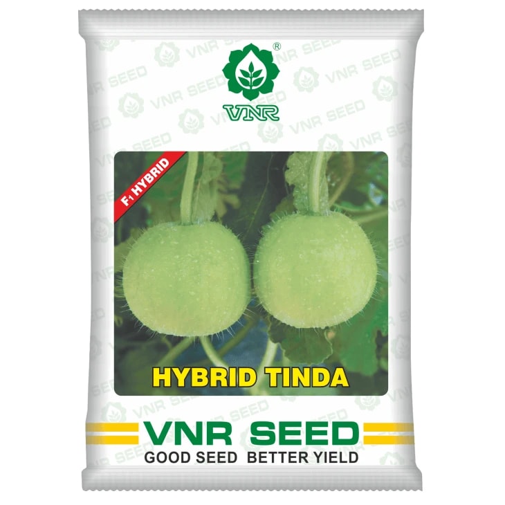 VNR Tinda Seeds (Round Melon) Seeds