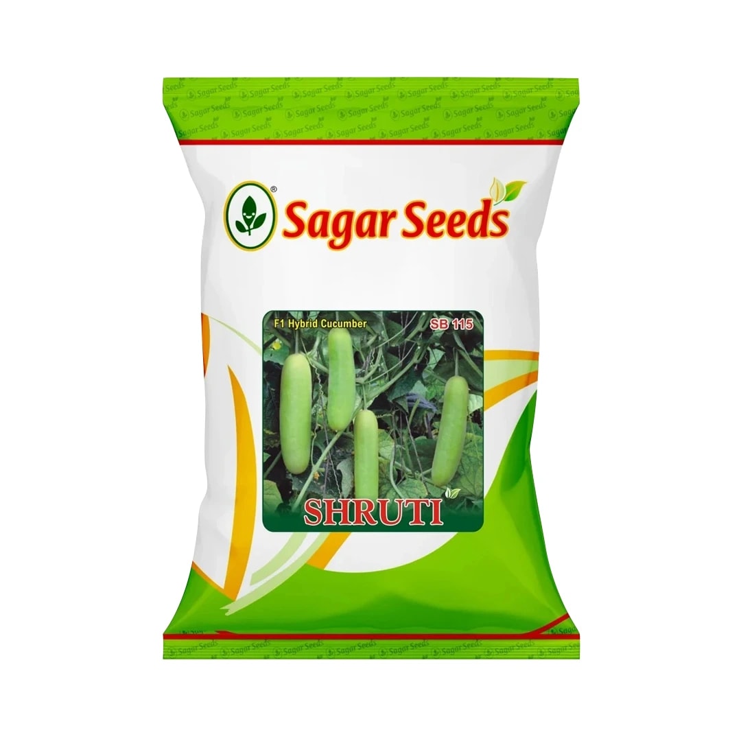 Sagar Shruti Cucumber (Kheera) Seeds