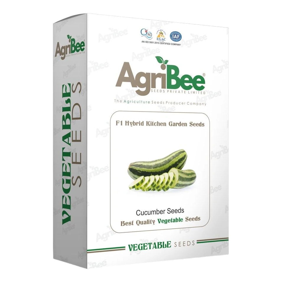 AgriBee F1 Hybrid Cucumber Seeds Pack Of 10 Pouches For Kitchen Garden (5gm x 10)