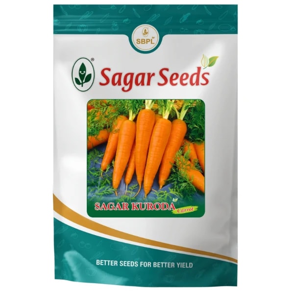 Sagar KURODA F1 Hybrid Carrot Seeds, High Yield, Orange Roots, Suitable For Rabi Season