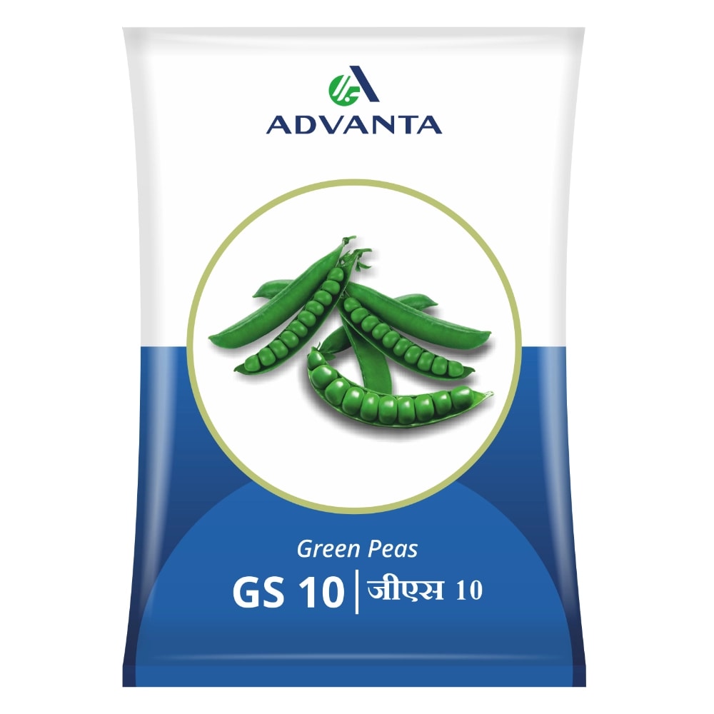 Advanta GS 10 Green Peas Seeds, Medium Tall with Well Spread Lateral Branches.