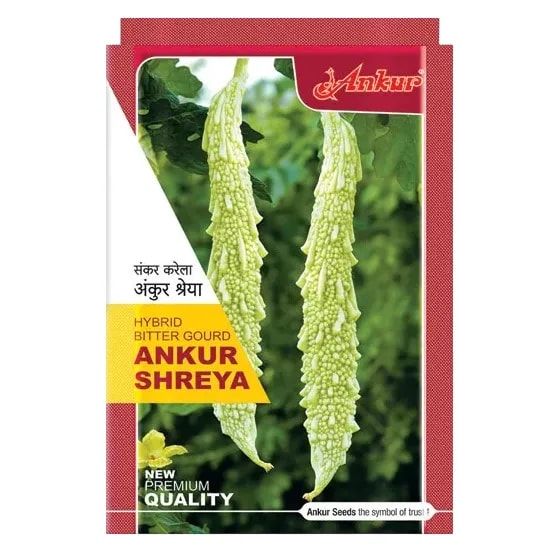 Ankur SHREYA F1 Hybrid Bitter Gourd Seeds, Vigorous Vines, Medium Long White Fruits