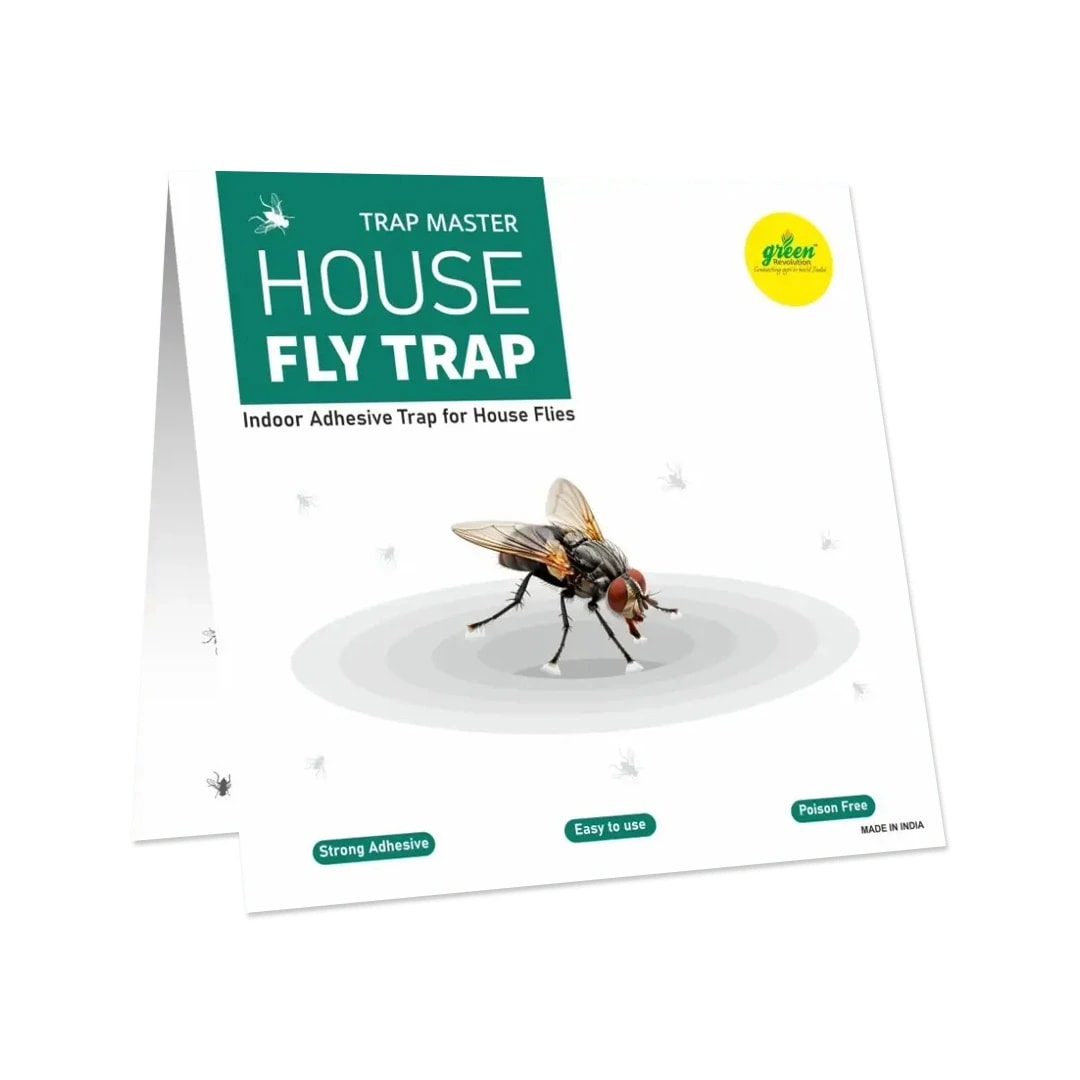 Green Revolution House Fly Trap (Pack of 10) Glue Trap, Insect Trap For Housefly, Poultry Flies, Sticky Paper