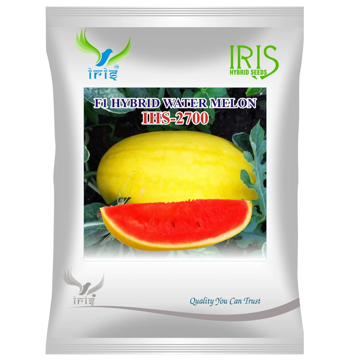 Iris IHS-2700 F1 Hybrid Watermalon Seeds, Bright Red Flesh with High Sweetness, Early Maturity