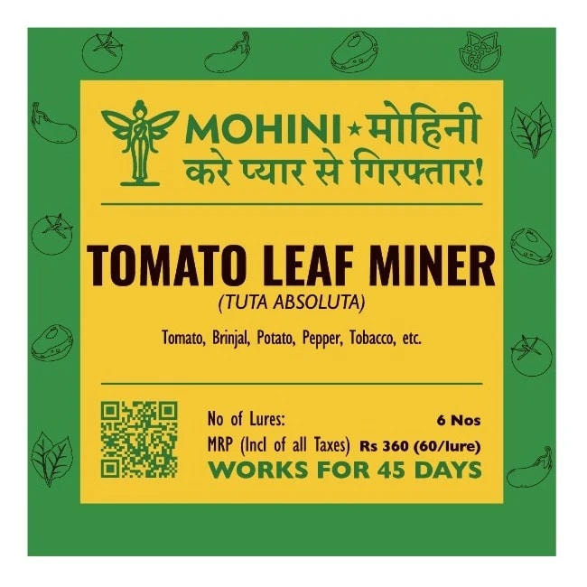 Biowall Mohini Tomato Leafminer Tuta Absoluta, Pheromone Lure For Effective Pest Control In Crops