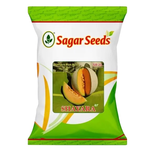 Sagar SHAYARA F1 Hybrid Muskmelon Seeds, Creamy Yellow Fruits And Orange Flesh