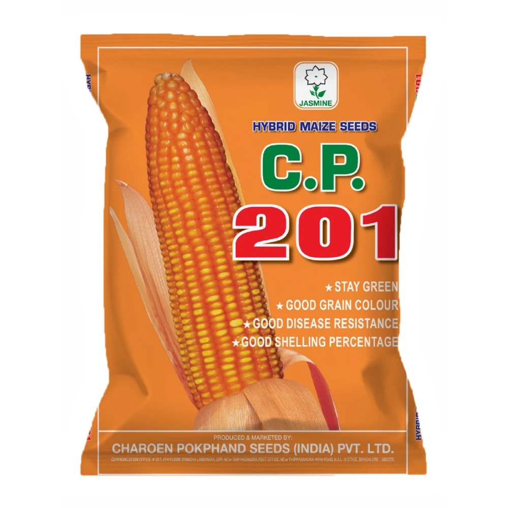 CP 201 Hybrid Maize Seeds, Makka Ke Beej, Yellow Orange Corn With High Yield