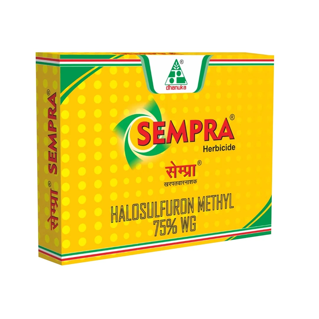 Dhanuka Sempra Herbicide - Halosulfuron Methyl 75% WG