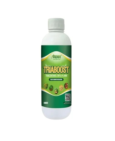 Paidavaar Triaboost Triacontanol 0.1% EW Plant Growth Regulator For Enhanced Crop Growth and Yield