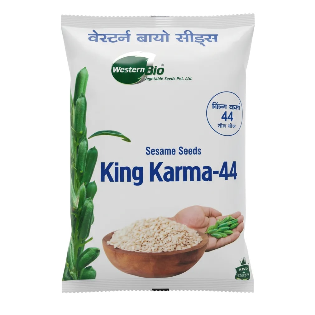 Western Bio King Karma-44 Sesame Seeds, High Yield Milky White Variety