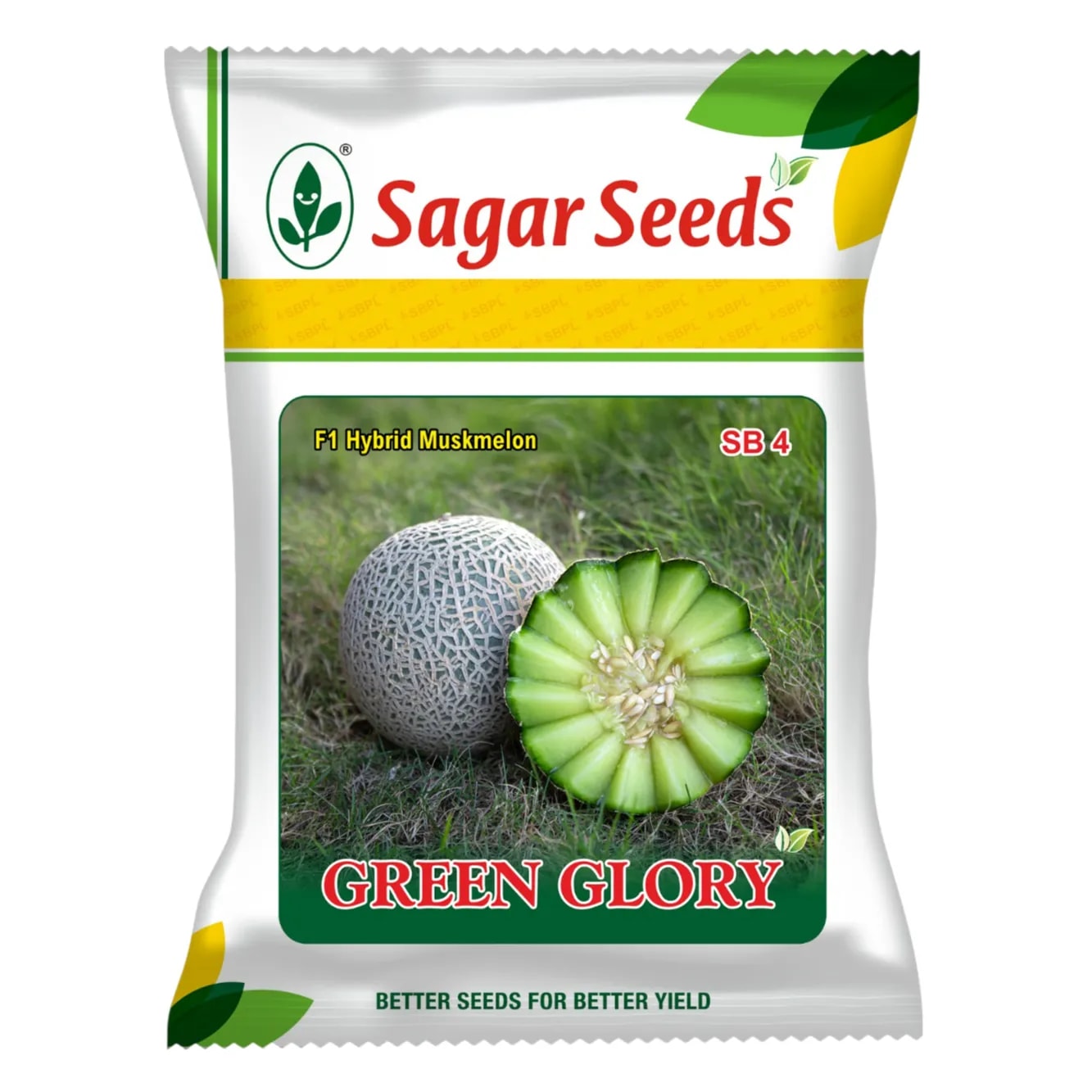 Sagar GREEN GLORY F1 Hybrid (Japan Melons) Muskmelon Seeds, High TSS And Uniform Fruits