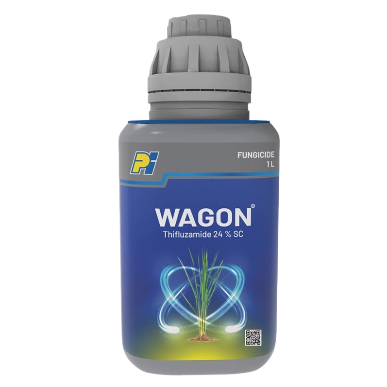 PI Wagon Thifluzamide 24% SC, Systemic Fungicide with Protective and Curative Action