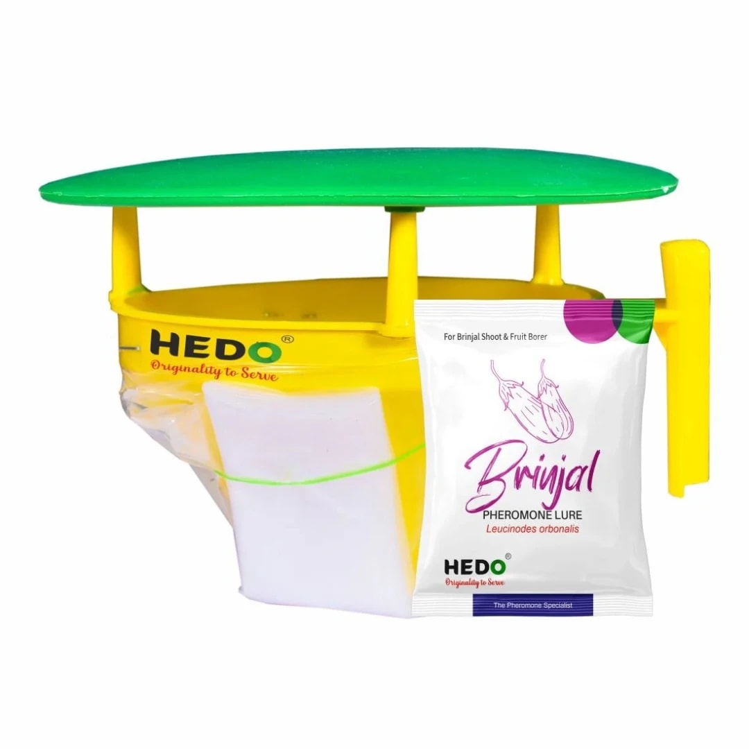 HEDO Brinjal Pheromone Trap And Lure (Leucinodes Orbonalis) For Brinjal Fruit And Shoot Borer Insect