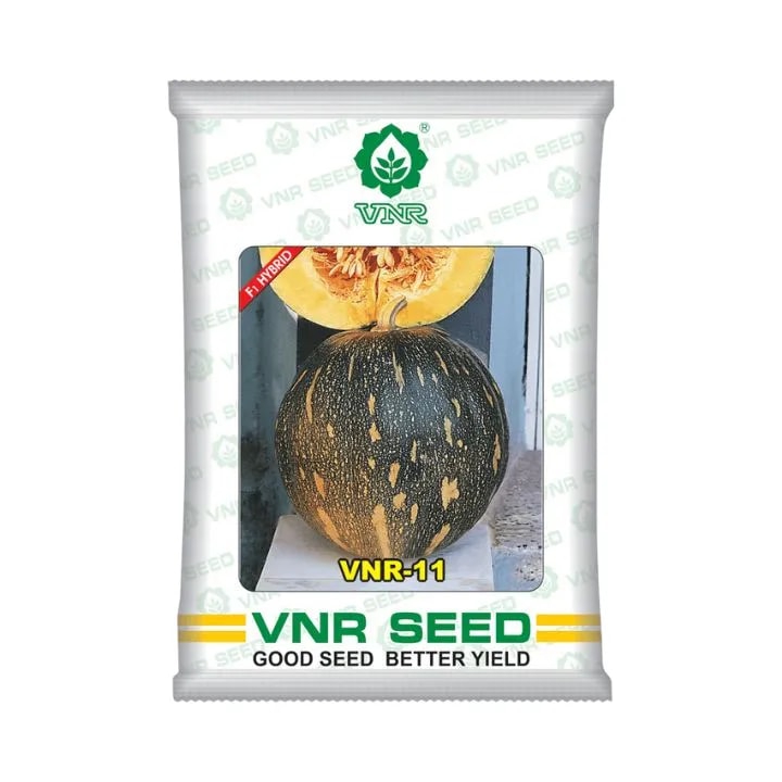 VNR-11 F1 Hybrid Pumpkin Seeds