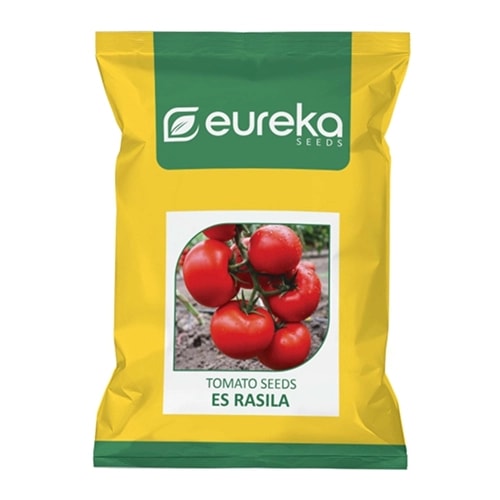 Eureka ES RASILA Improved F1 Hybrid Tomato Seeds, Vigorous Plants, High Yield Variety