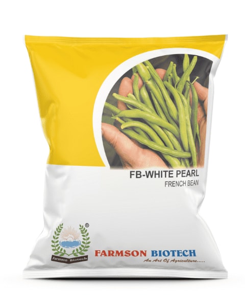 Farmson FB White Pearl French Bean Seeds, Bunching Type, Green Flat Pods and Suitable For Round the Year