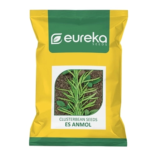 Eureka ES ANMOL Improved Hybrid Clusterbean Seeds, High Yield, Upright Variety