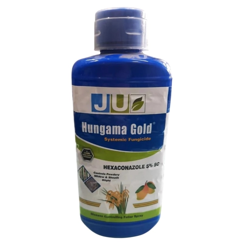 Ju Hungama Gold Hexaconazole 5% SC Fungicide, Highly Effective for the Control of Sheath Blight In Rice and Powdery Mildew in Mango