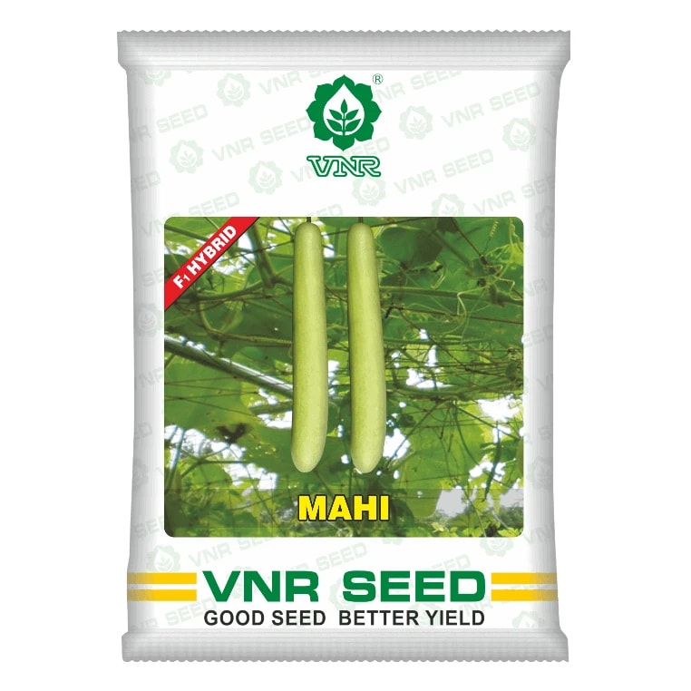 VNR Mahi F1 Hybrid Bottle Gourd Seeds, Cylindrical, High Yield Potential   