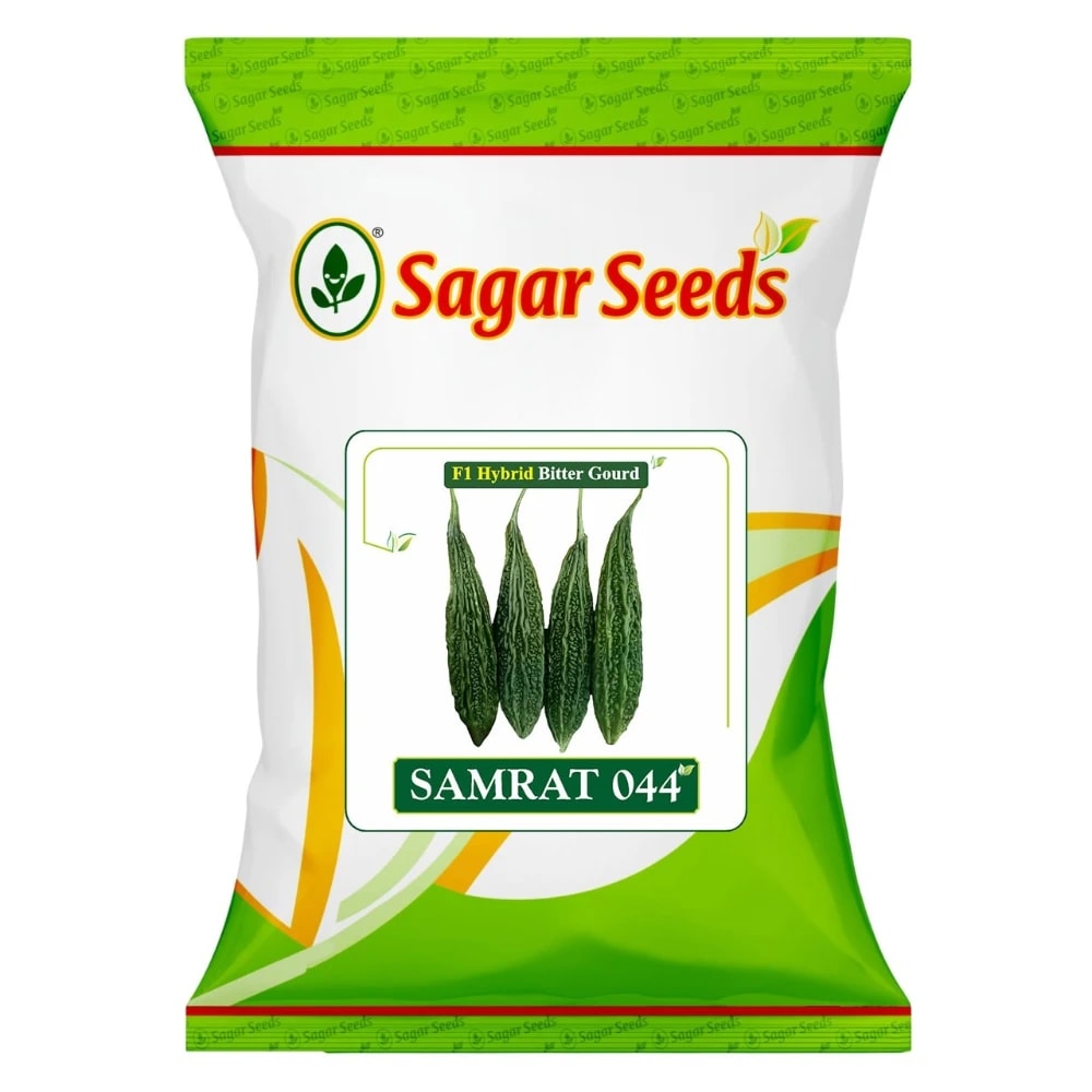 Sagar SMARAT 044 F1 Hybrid Bitter Gourd Seeds, High Yield And Dark Green Fruits