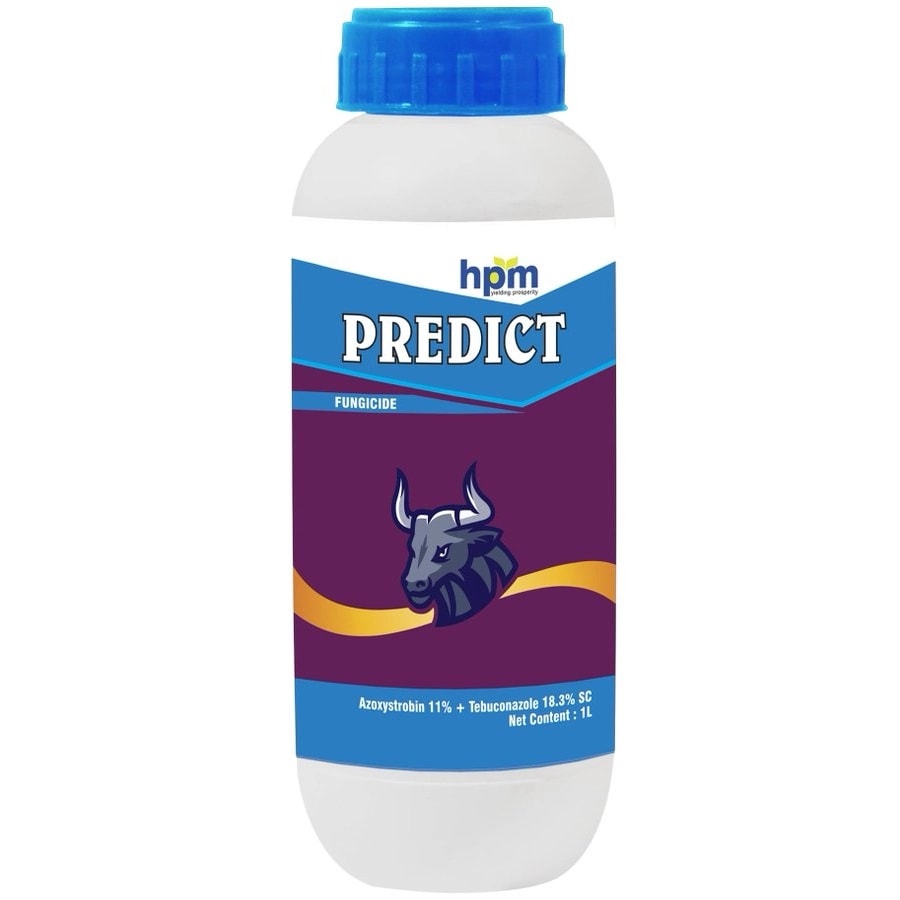 Hpm Predict Azoxystrobin 11% + Tebuconazole 18.3% SC Fungicide, Dual Action Crop Protection