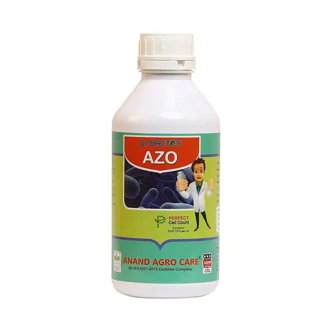 Dr. Bacto\'s AZO, Azotobacter Chrocoocum Organic Fertilizer, Azotobacter spp. Is the Free-Living Nitrogen-Fixing Aerobic Bacterium