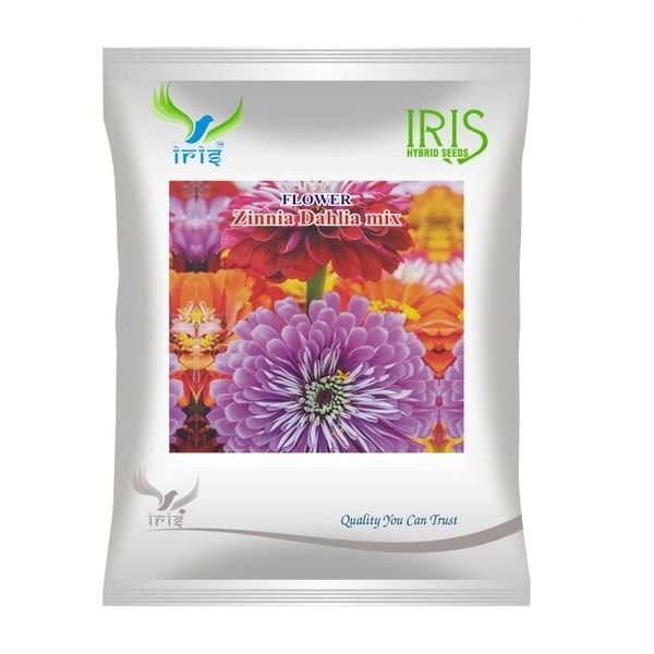 Iris Zinnia Dahlia Mix Hybrid OP Flower Seeds, Perfect For Outdoor, Color Full Flower