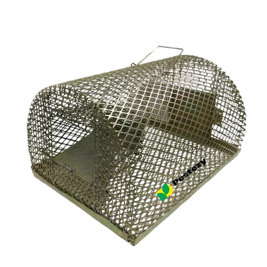 Pestezy Large Rat Or Mouse Trap Cage, Pinjara For Catching Big And Small Rats, Mice Ghoose Family