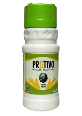 Paidavaar Protivo Tebuconazole 50% + Trifloxystrobin 25% Fungicide
