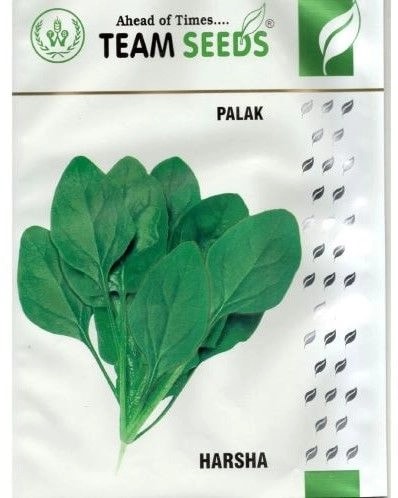 Team Seeds F1 Hybrid Vegetable Harsha Palak Seeds, Spinach Seeds, Suitable For Indian Conditions