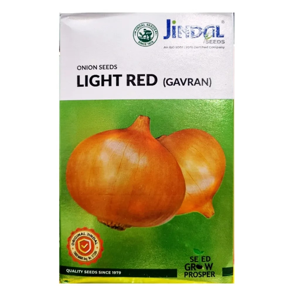 Jindal LIGHT RED (GAVRAN) F1 Hybrid Onion Seeds, Kanda Beej, Round Bulbs Variety
