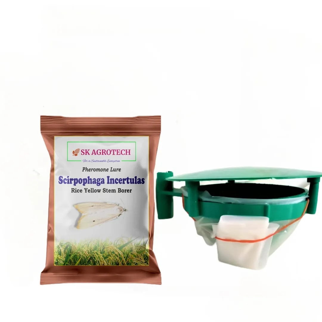 SK Agrotech Scirpophaga Incertulas (Rice Yellow Stem Borer) Pheromone Trap With Lure - Effective Control For Rice Yellow Stem Borer