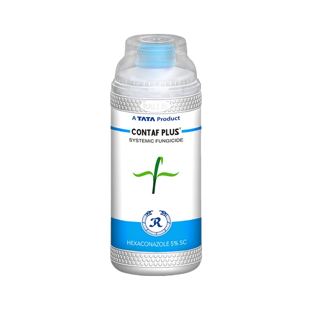 टाटा कंटाफ प्लस हेक्साकोनाजोल 5% एससी, चयनात्मक ट्रायाज़ोल फफूंदी नाशक, चूर्णिल आसिता के नियंत्रण के लिए उपयोगी।