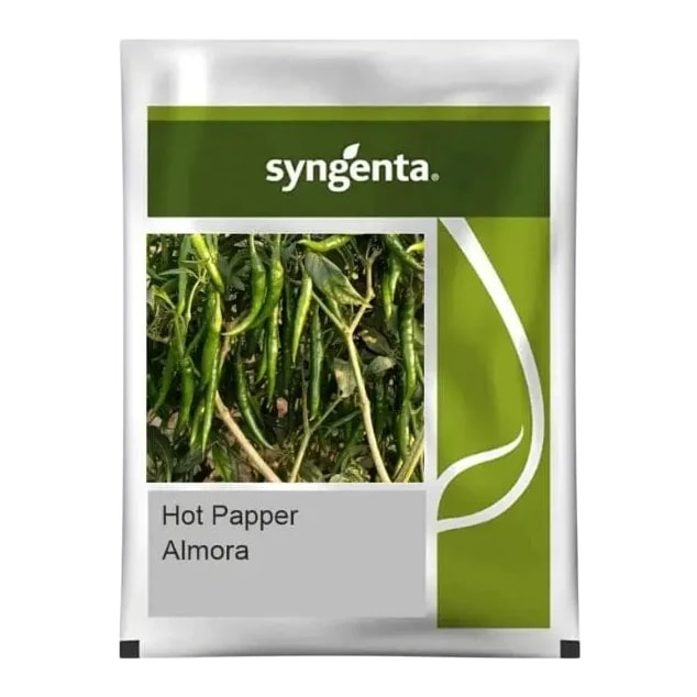 Syngenta Almora F1 Hybrid Chili Seeds, High Pungency Green And Red Dry