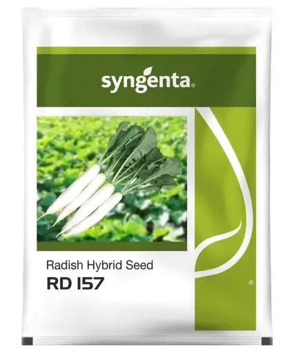 Syngenta RD 157 Hybrid Radish Seeds